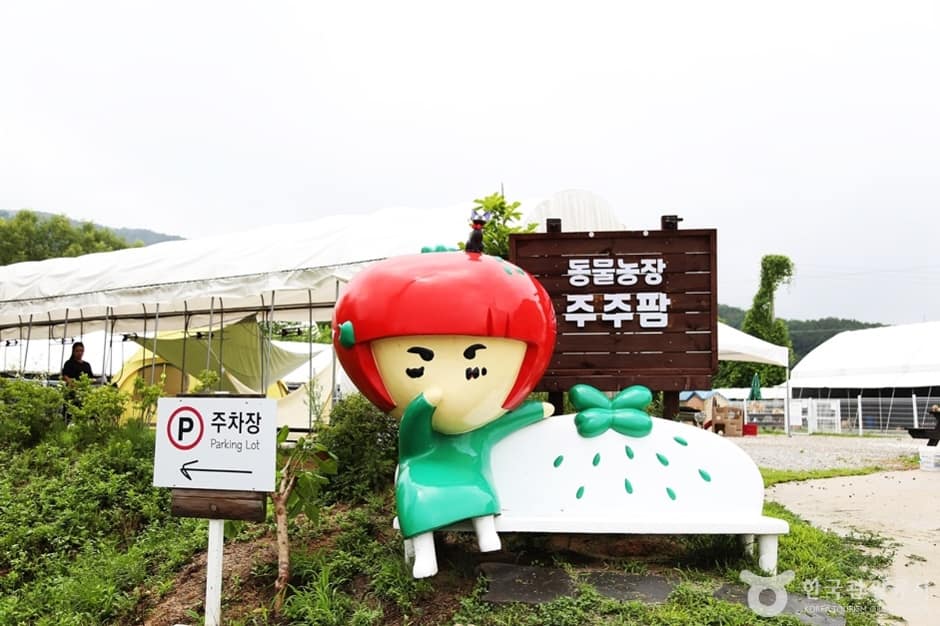 주주팜 동물농장 (1)