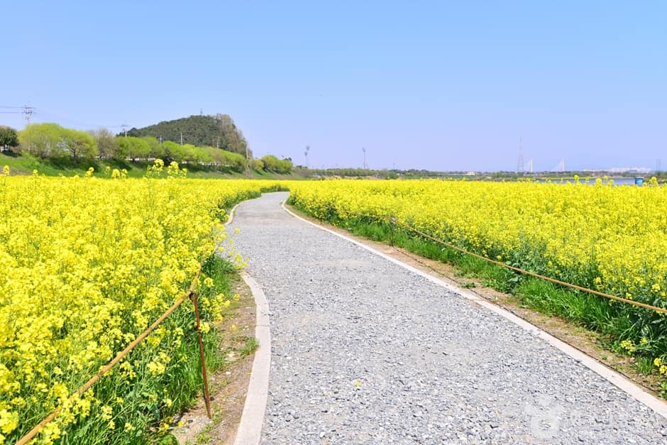 전남_나주_영산강둔치체육공원 (5)