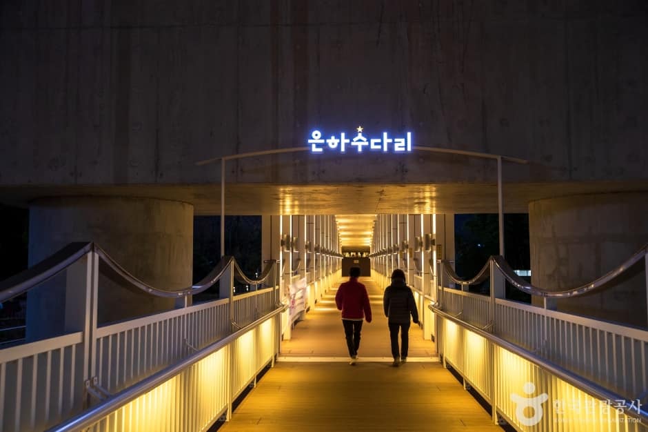 태화강 은하수 다리 (2)