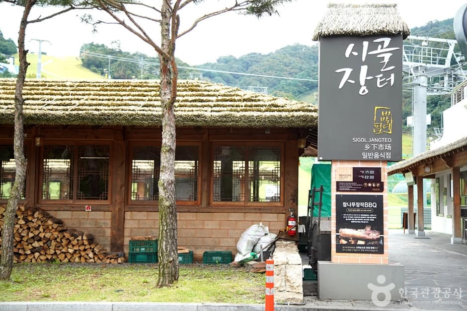 대명 비발디파크 스노위랜드 (1)