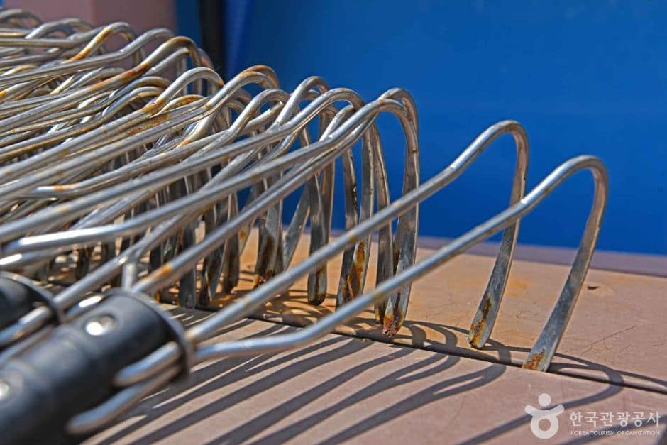 모항갯벌체험장 (1)