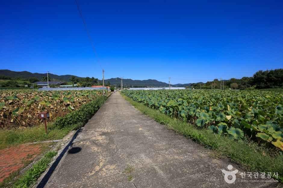 경기_용인_경기옛길 영남길 제6길 은이성지, 마애불길 (7)