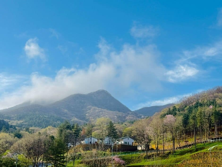 진안_국립진안고원산림치유원 (6)
