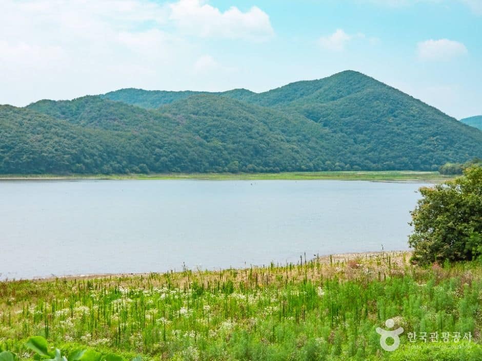 경주_하곡지 (5)