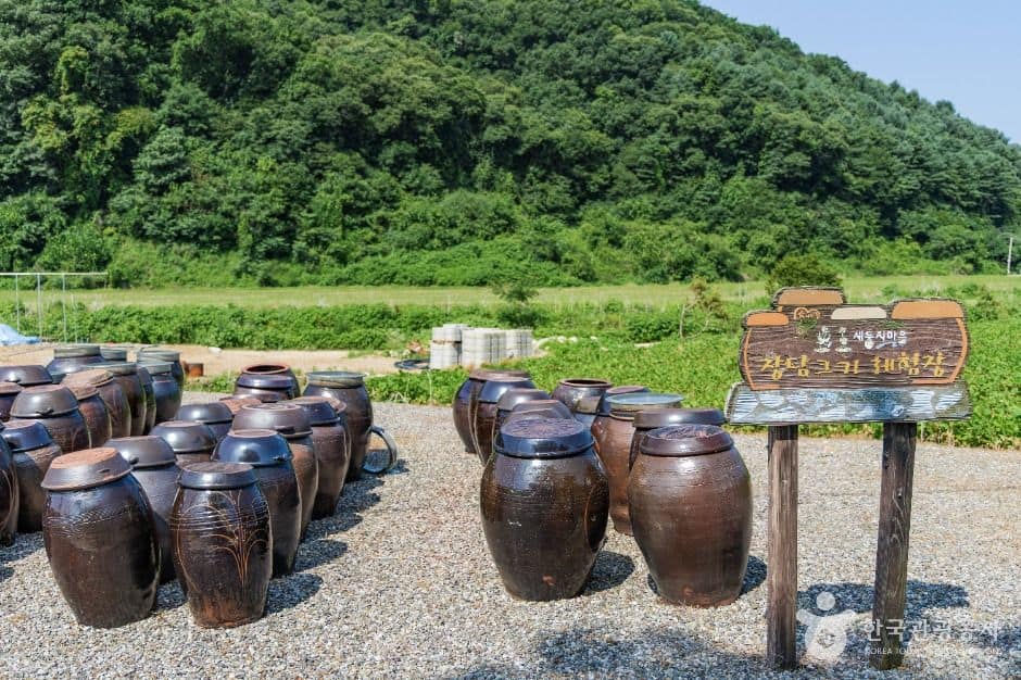 연천_새둥지마을 (7)
