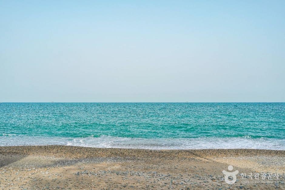 경주_관성솔밭해변 (5)