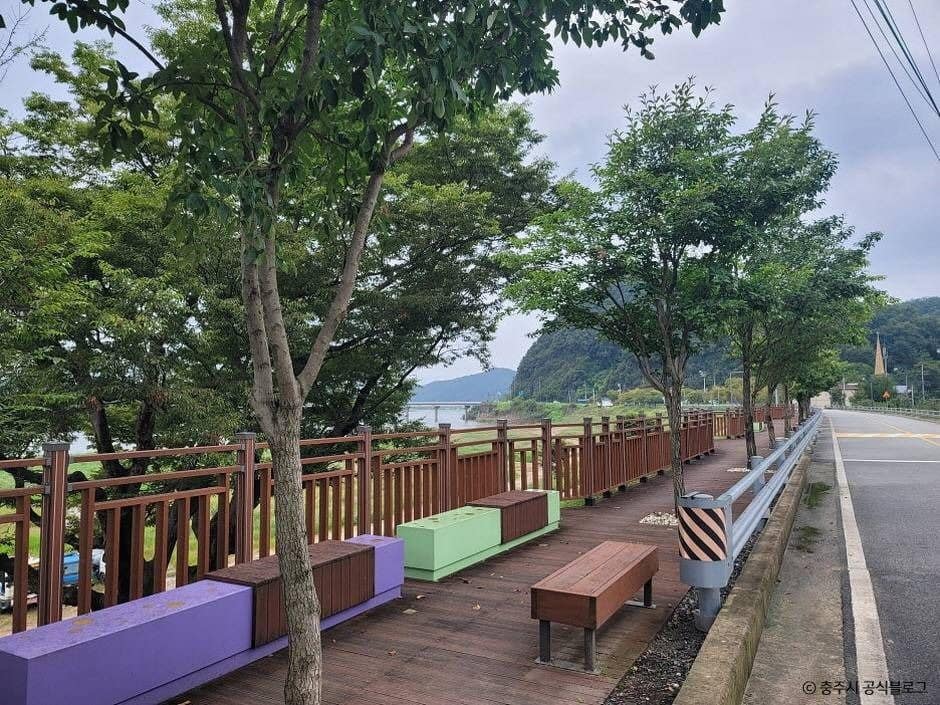 충주_남한강 (5)