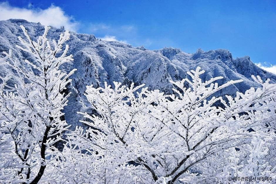 서귀포_오백나한 (5)