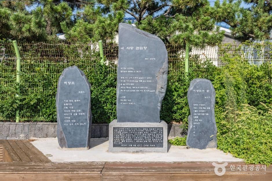 제주_한림항 (8)