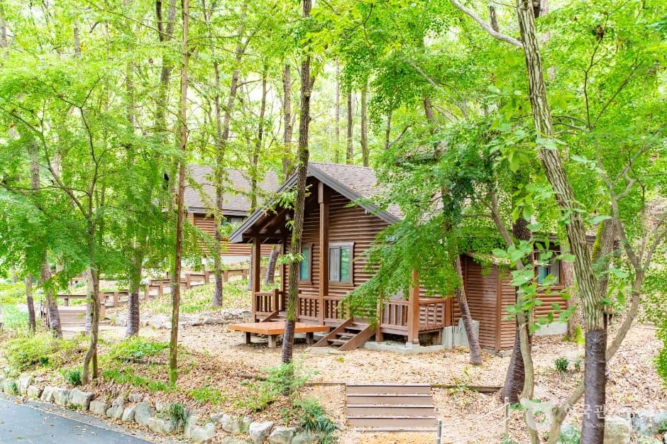 아산_아산 영인산자연휴양림 (6)