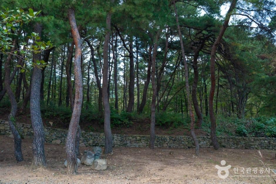 의성_대곡사(의성) (6)