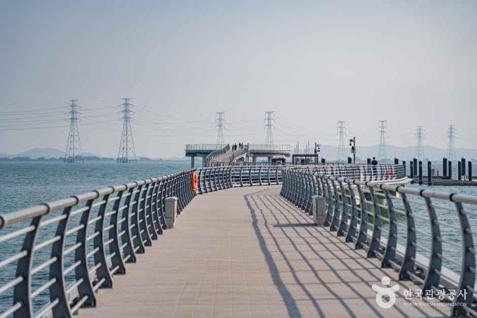 시흥_거북섬 (7).jpg