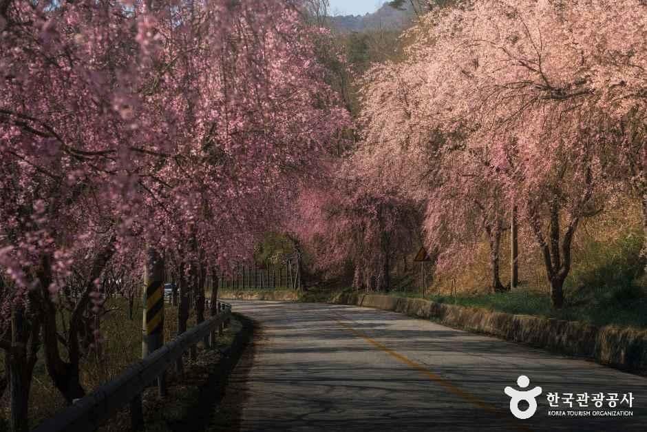 경남_거창_병곡마을_외부_5.jpg