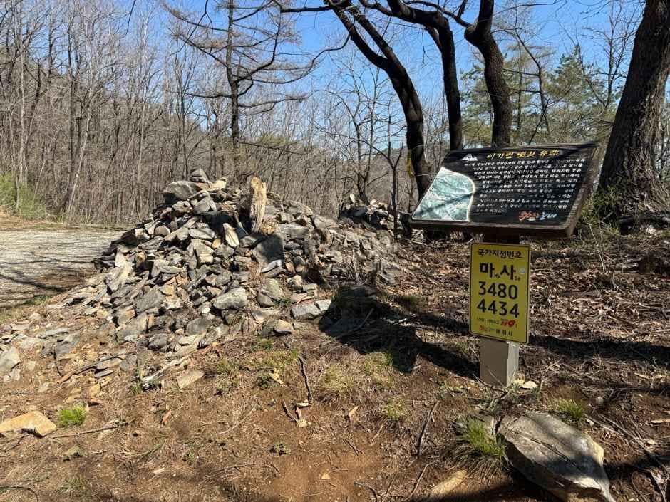 [백두대간 동해소금길 제2코스] 이기령 더바지길 (4).jpg
