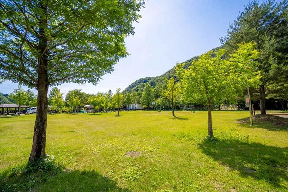 횡성_신대리야영장 (6).jpg