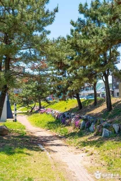 울산_북구_강동몽돌해변(정자해변)_외부_8.jpg