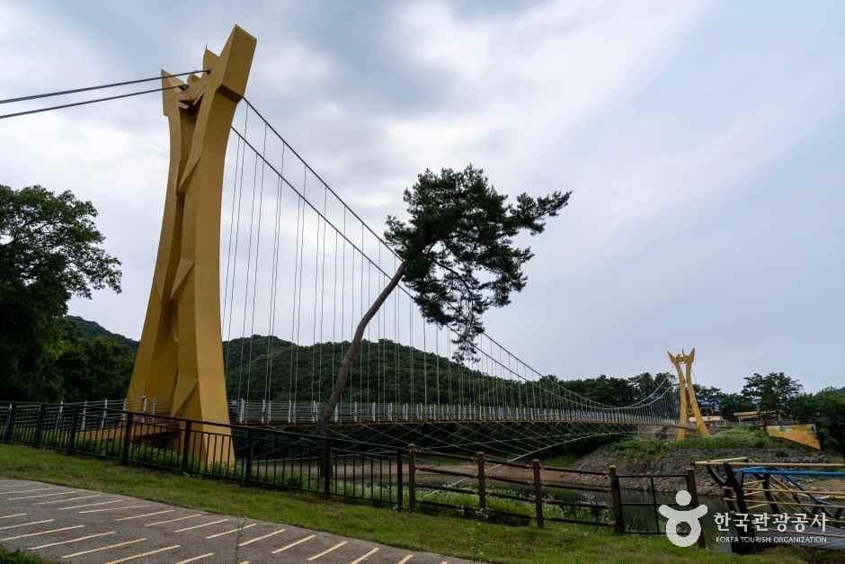 전남_장성_옐로우 출렁다리_전경_2.jpg