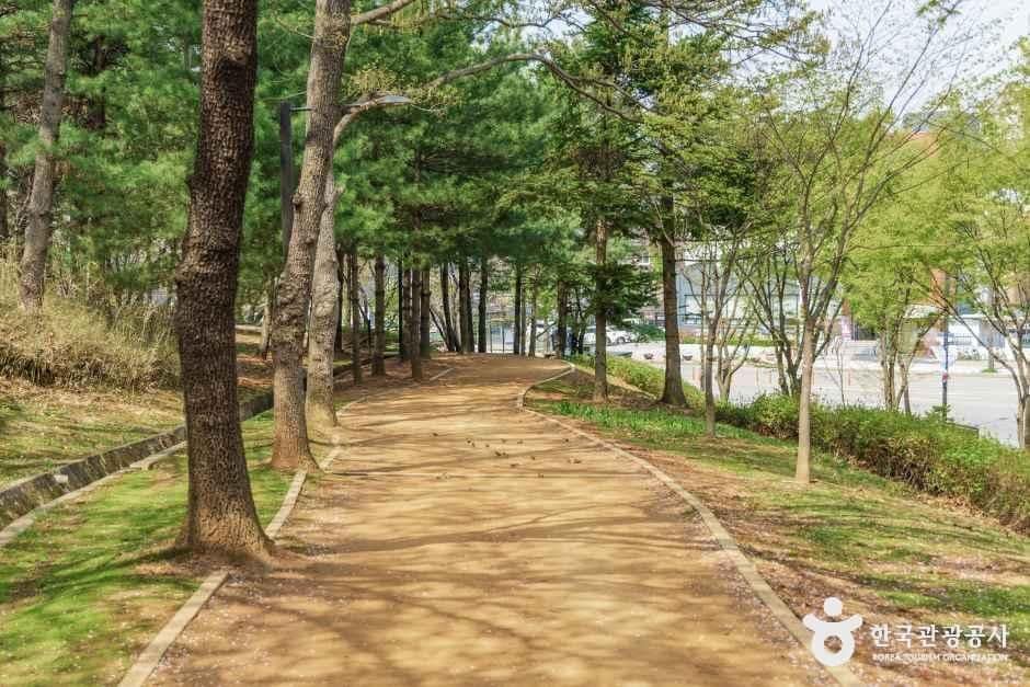 고양_성저공원 (1).jpg