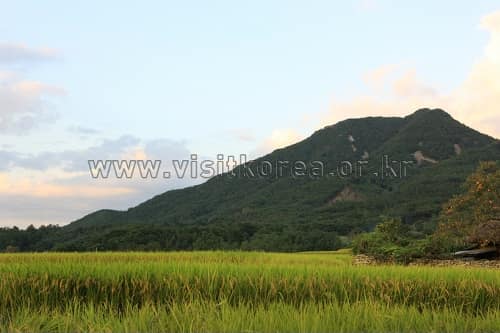 충청남도_아산시_설화산_008