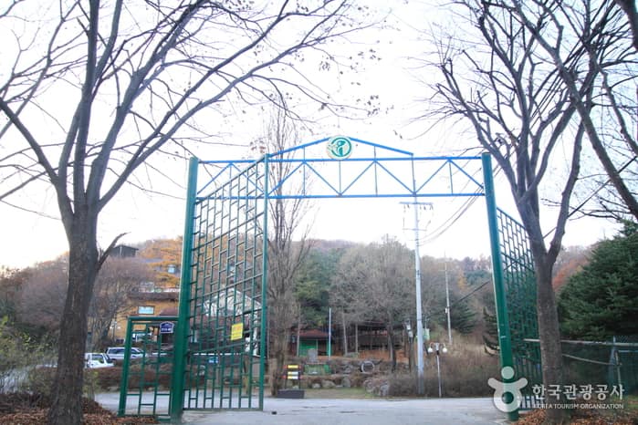 경기_양주_딱따구리청소년수련원05