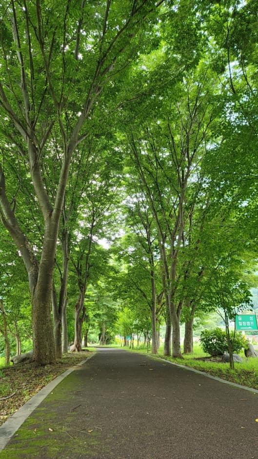 강원평화누리길_7코스_코스전경