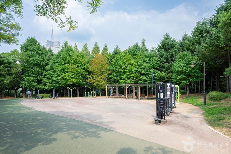 지도공원 (4)