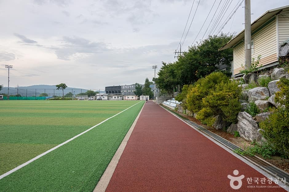 파평체육공원 (11)