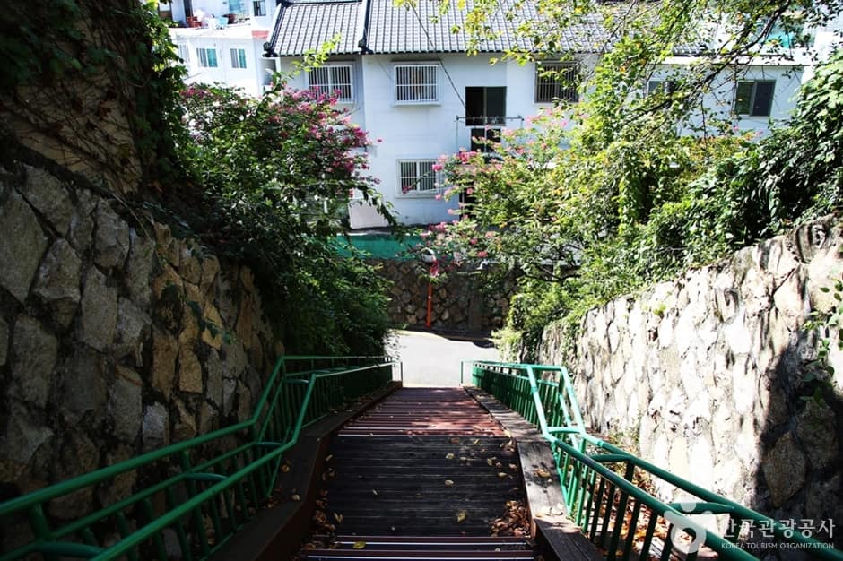 개금벚꽃문화길 (2)