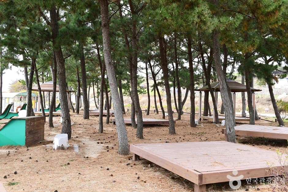 전남_함평_안악해수욕장 (3)