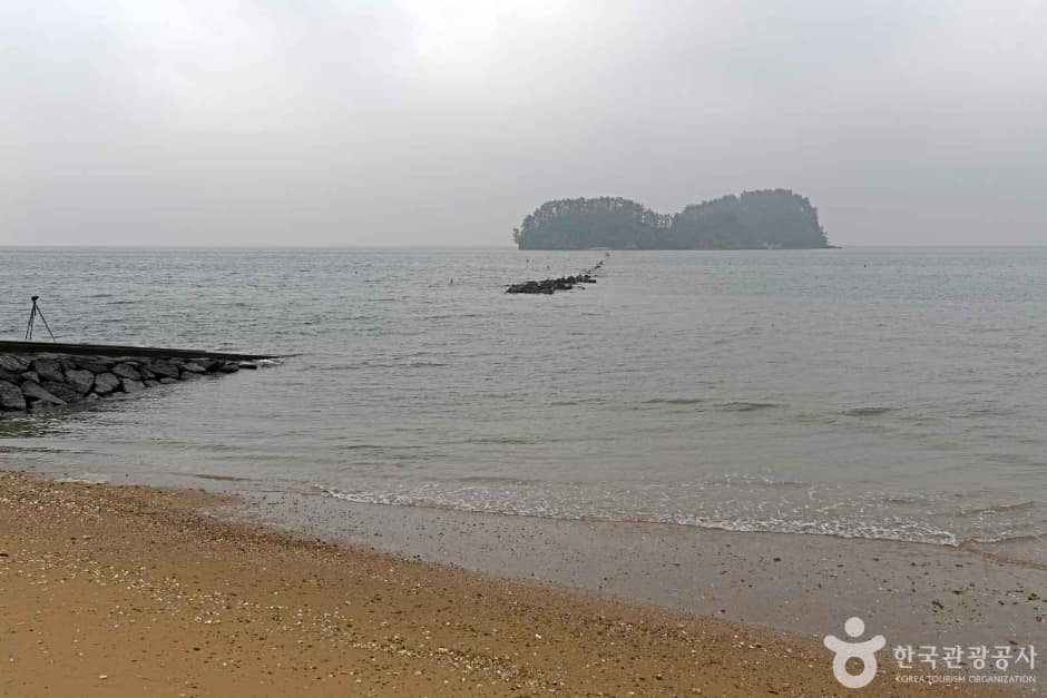 비인 선도리 쌍도해변 (6)