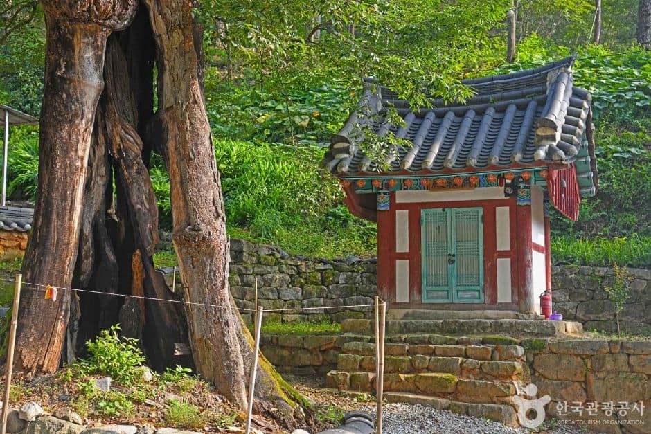 전북_임실_죽림암(임실) (7)