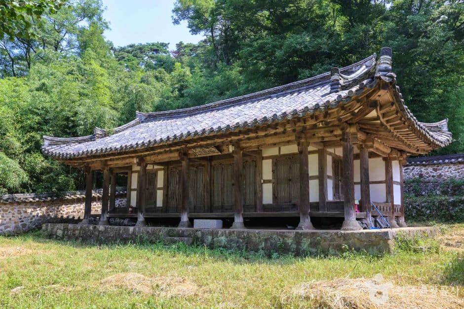 두남제 (4)