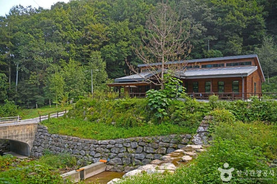 영월_망경대산자연휴양림 (2)