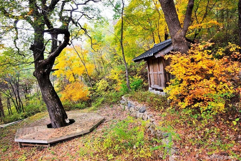 정선_노추산 (5)