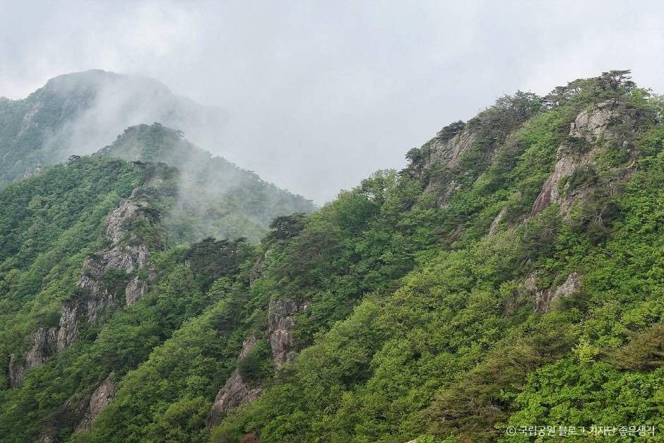 계룡산국립공원 (7)