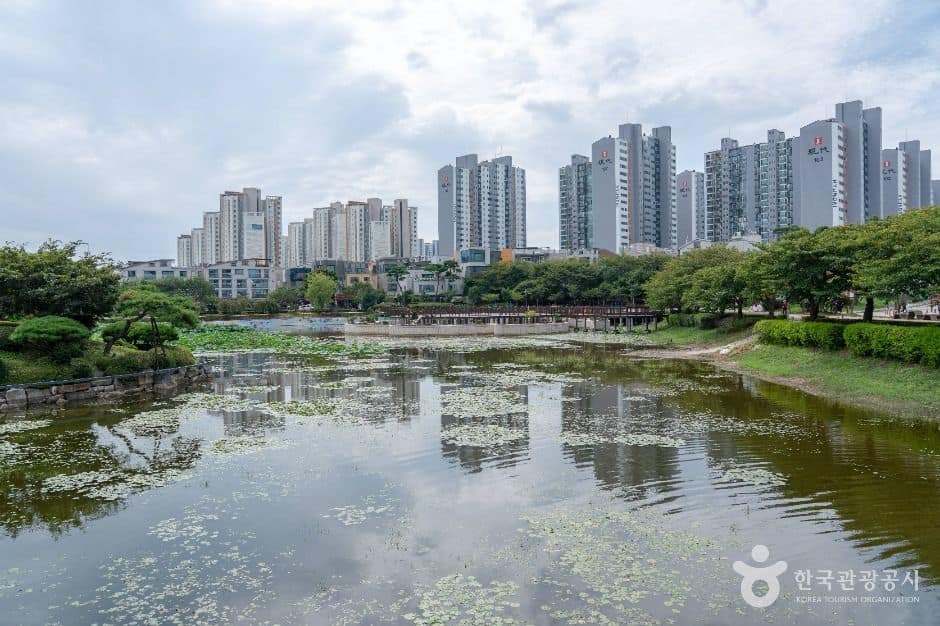 서산_중앙호수공원 (서산) (2)