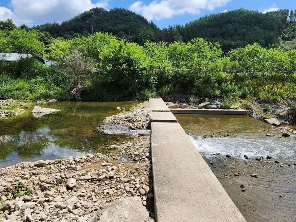 횡성_솔밭체육공원오토캠핑장 (5).jpg