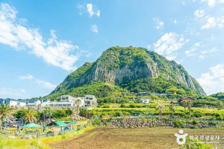 서귀포_산방산랜드 (5).jpg