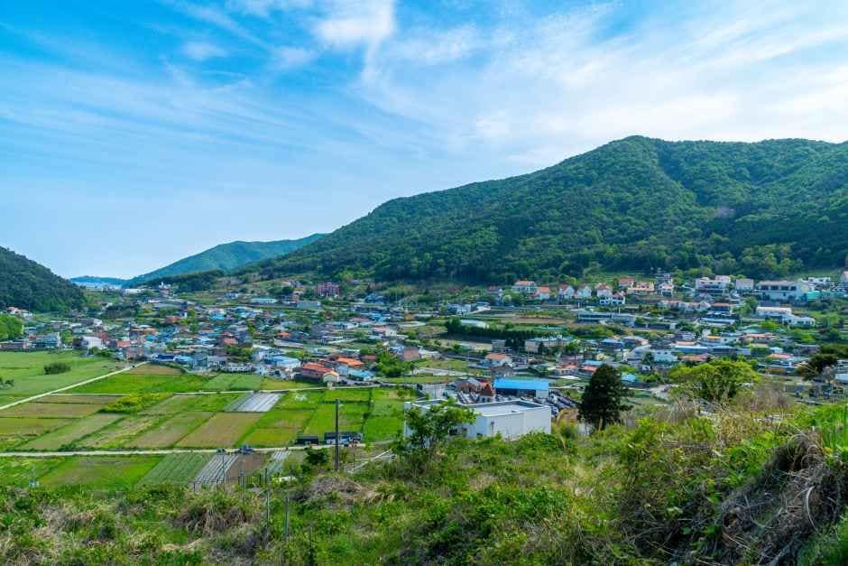 남해_[남해바래길 6코스] 죽방멸치길 (4).jpg