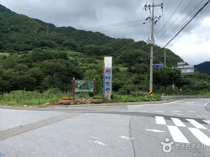 강원_영월_선바위산(영월)05
