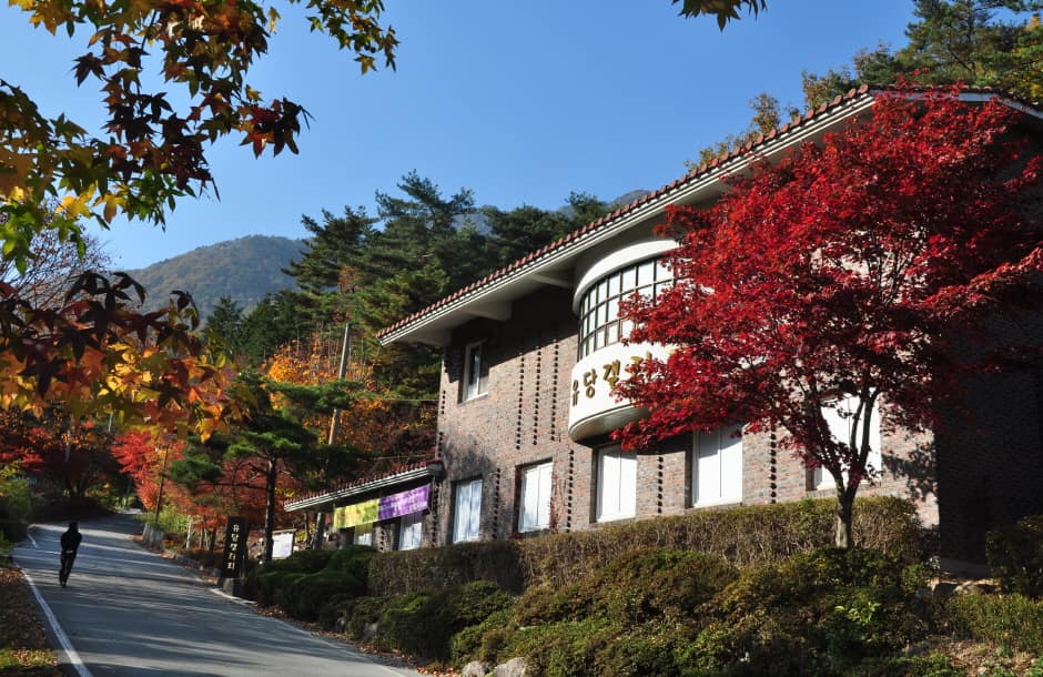 성암국제수련원 (10)