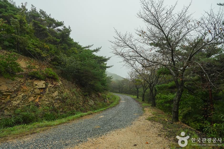 삼길 나루길 (6)