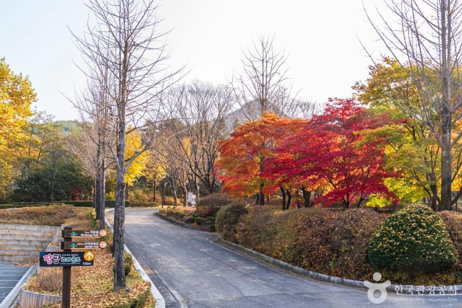 충북_단양_다리안관광지(3)