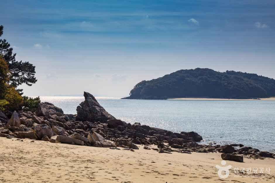계남해변 (1)