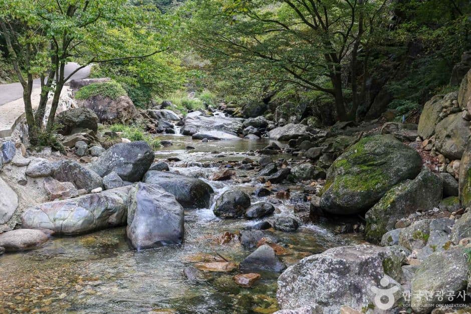 경기_양평_사나사 계곡 (2)