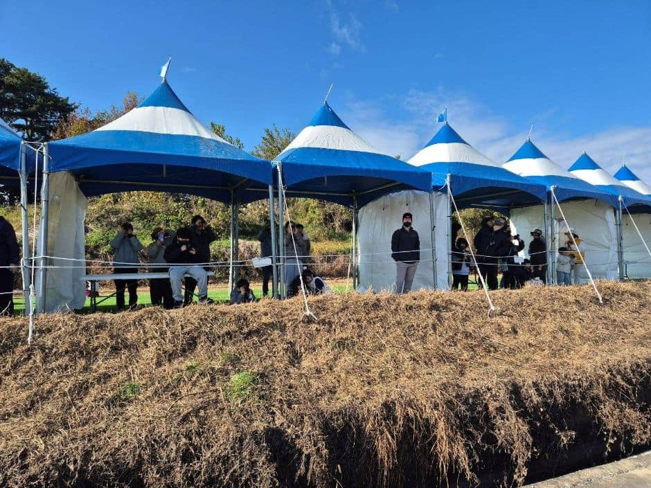 고성독수리생태체험관 (날아라 고성독수리)_5