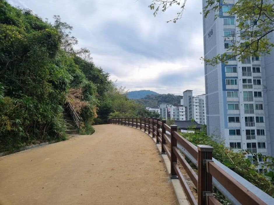 광주 서구 금당산 맨발길 (7)
