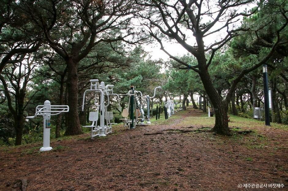 서귀포_삼매봉 (3)