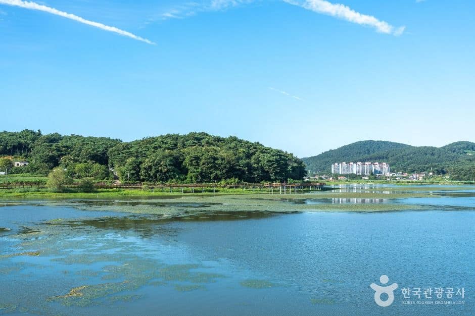서산_풍전 저수지 (2)