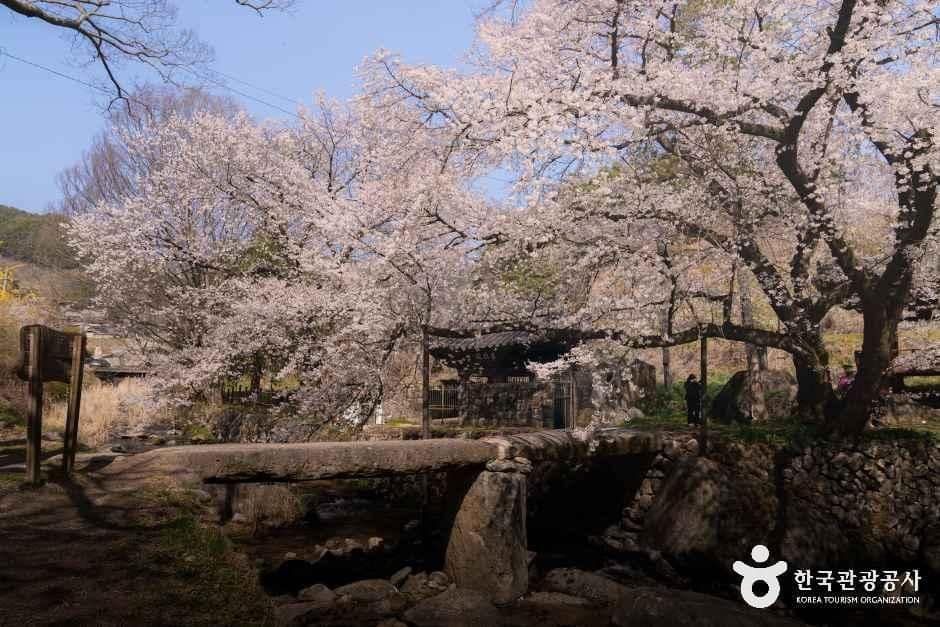 경남_거창_용원정_외부_1.jpg